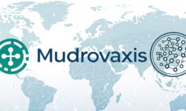 Mudrovaxis App recensioni 2025 – Sicuro o una truffa? Scopri la verità qui!