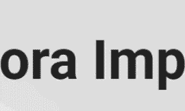 Velora Impact Recensione 2025: È Legittimo o una Truffa? Potenziale Rendimento Giornaliero e Profitti in Criptovaluta