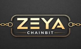 Zeya Chainbit Recensioni 2025: È Legittimo O Una Truffa?