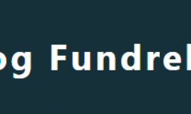 Recensione Hog Fundrelix 2025: truffa o come funziona? Recensioni e opinioni degli utenti