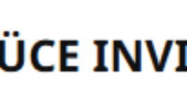 Recensione Yüce Invix 2025: truffa o come funziona? Recensioni e opinioni dettagliate